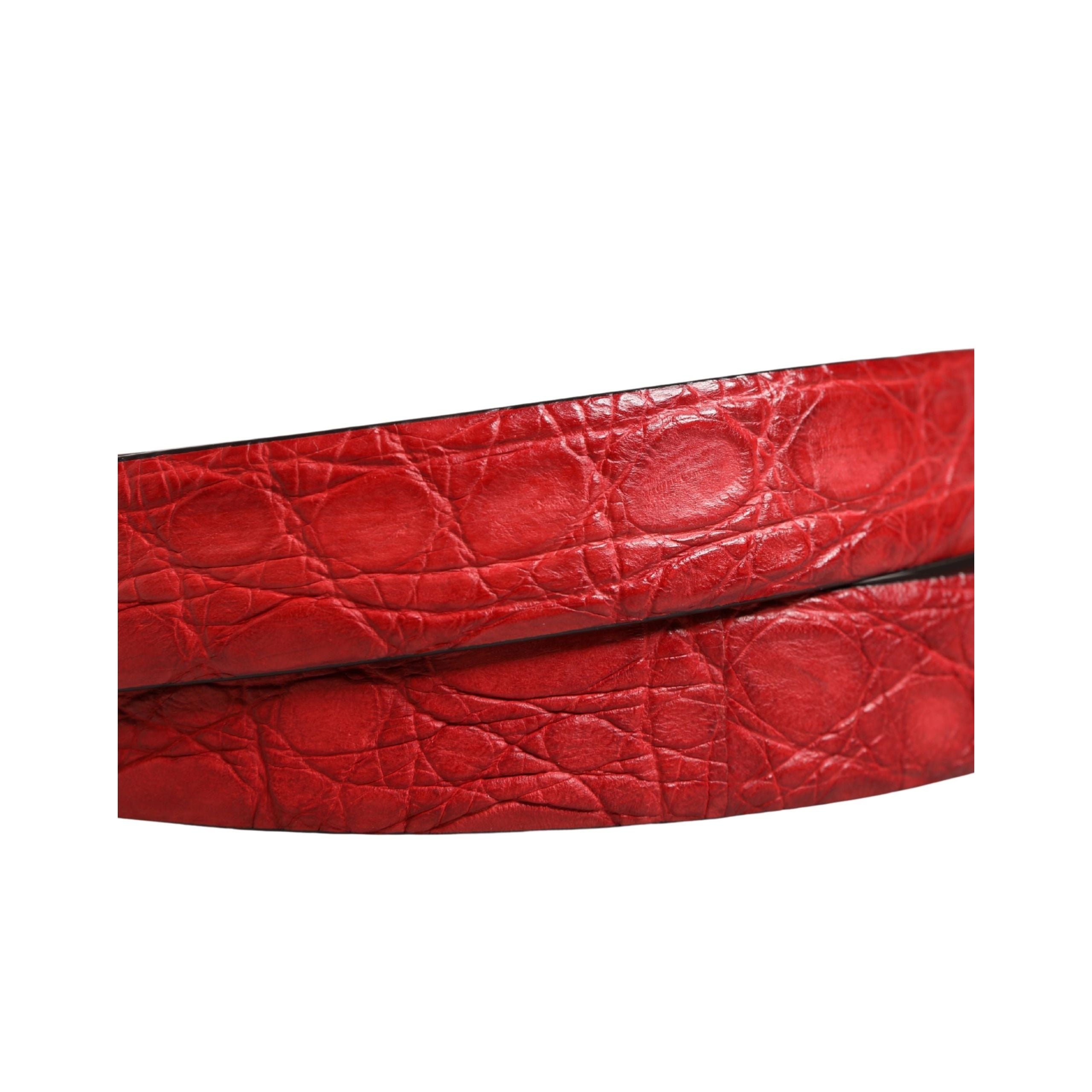 Dolce & Gabbana Red Exotic Leather Metal Buckle Belt