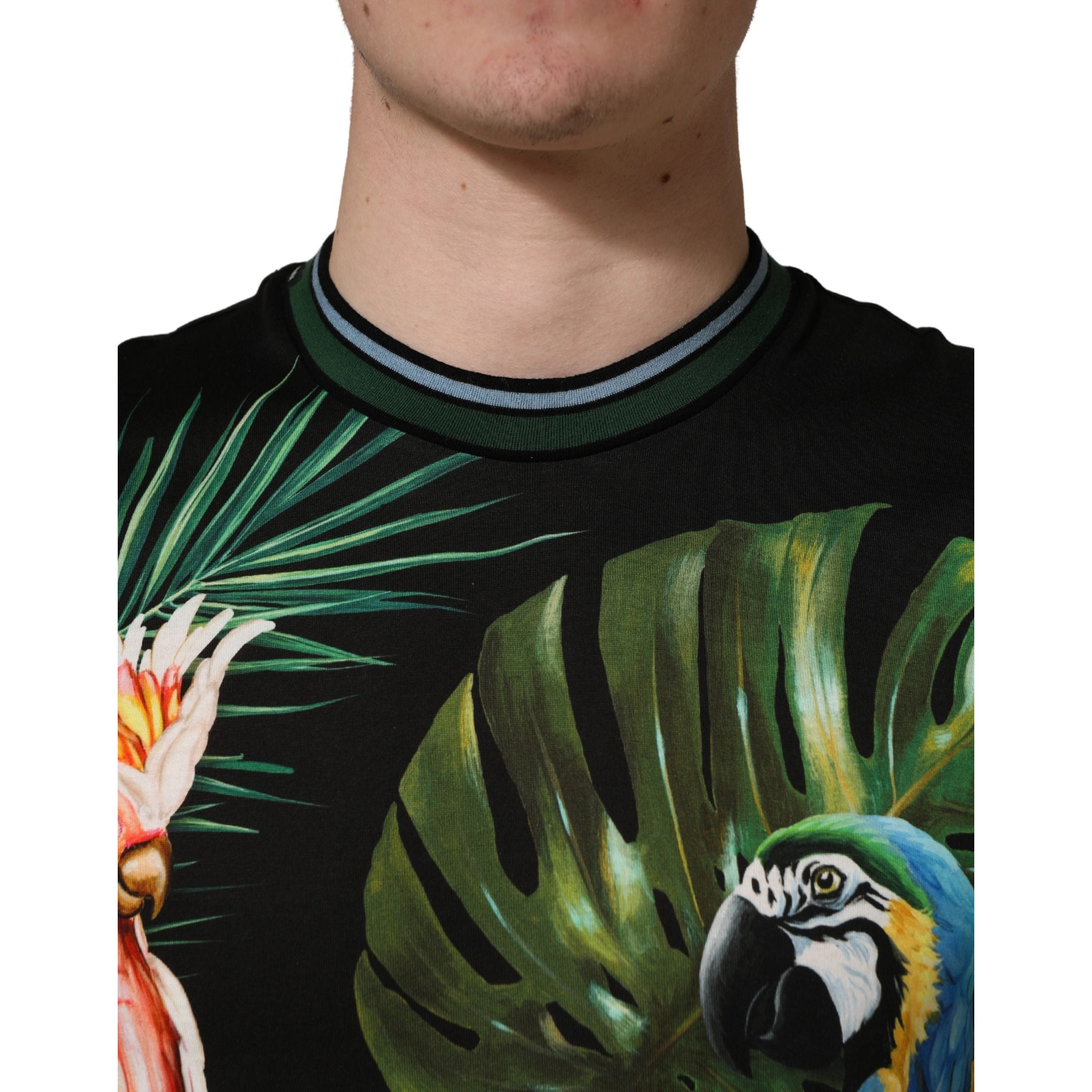 Tricou Dolce & Gabbana din bumbac cu decolteu rotund și imprimeu Black Bird