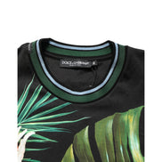 Tricou Dolce & Gabbana din bumbac cu decolteu rotund și imprimeu Black Bird