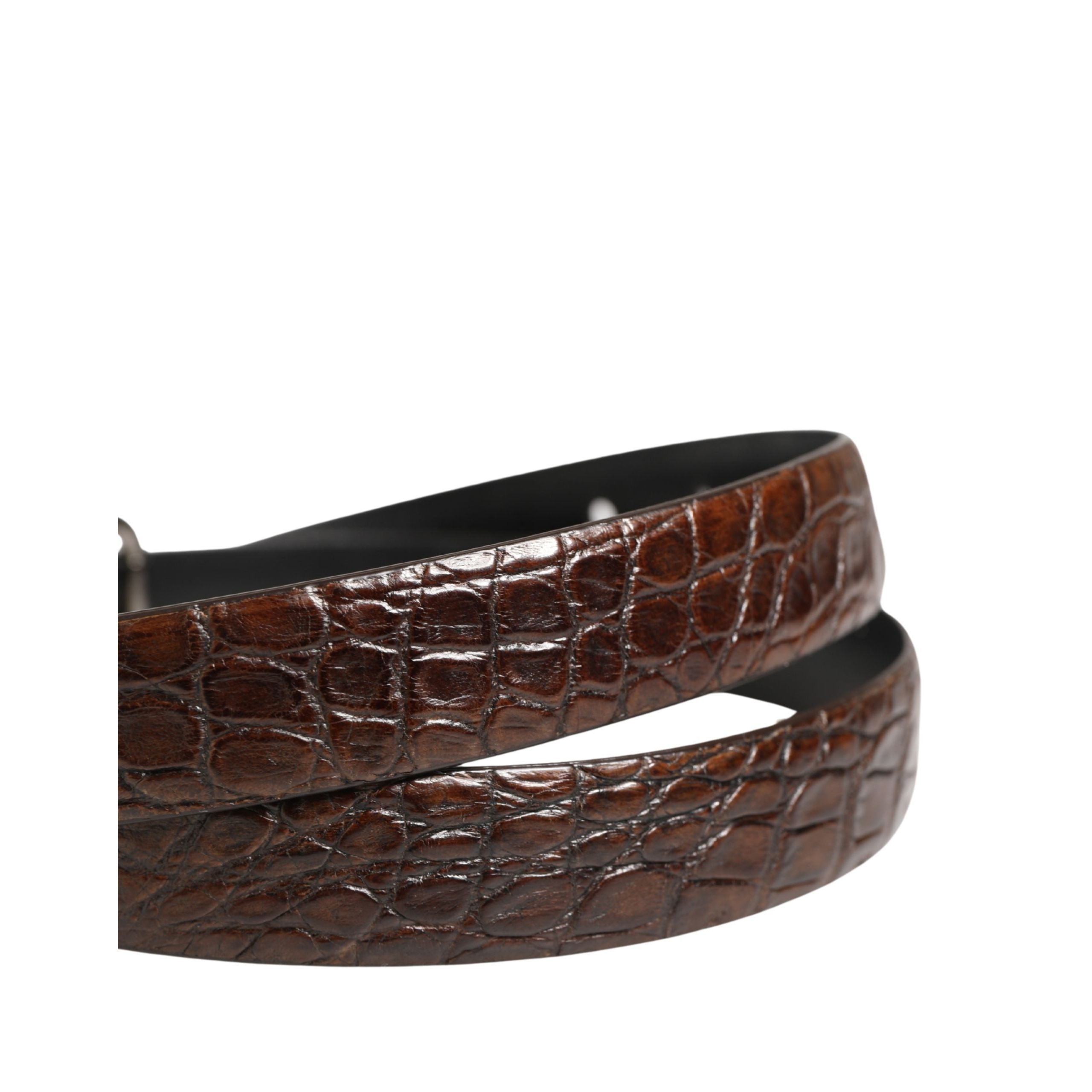 Dolce & Gabbana Brown Leather Silver Tone Metal Buckle Belt