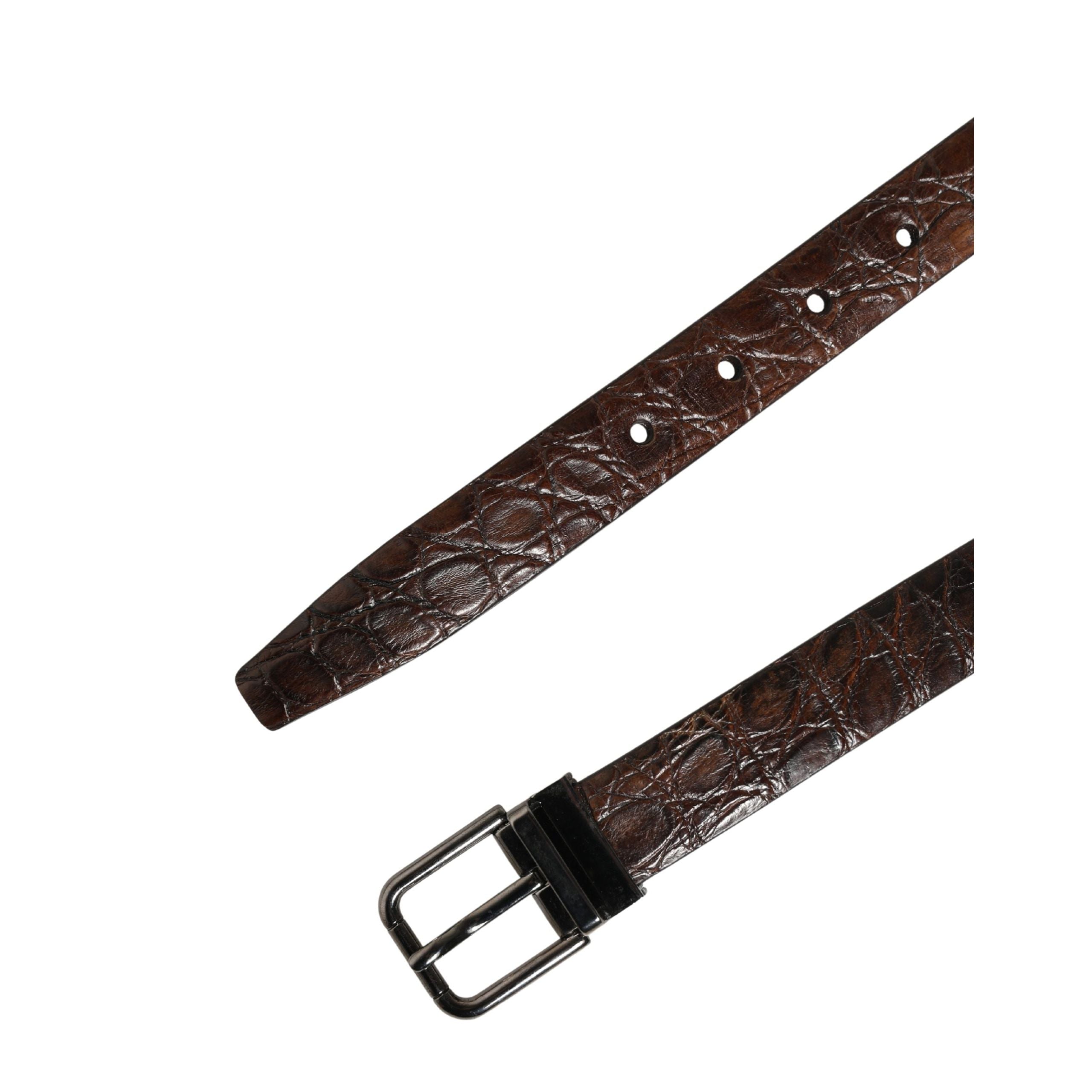 Dolce & Gabbana Brown Leather Silver Tone Metal Buckle Belt