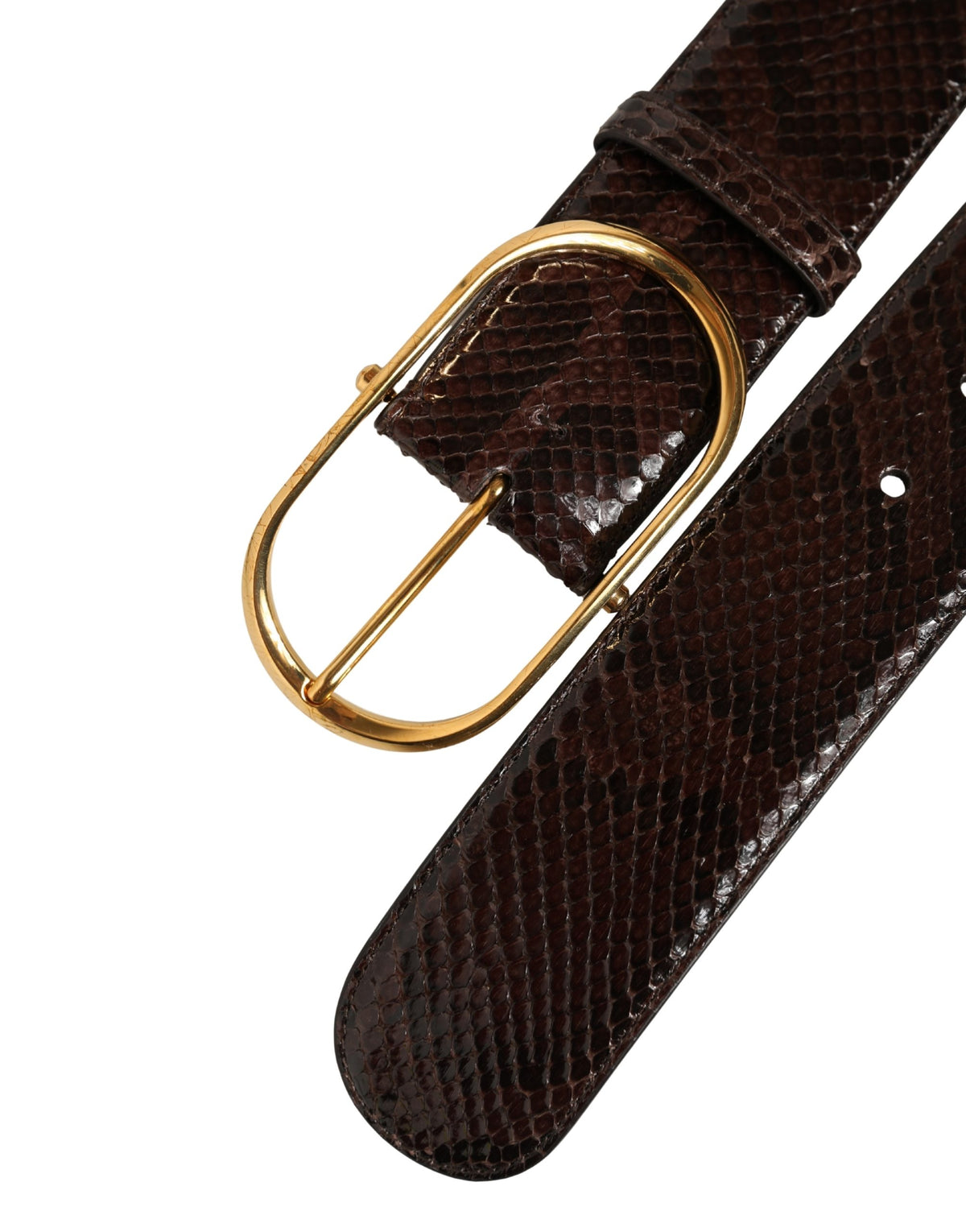 Dolce & Gabbana Curea Maro din Piele de Piton cu Cataramă din Metal Auriu