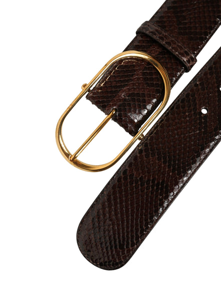 Dolce & Gabbana Curea Maro din Piele de Piton cu Cataramă din Metal Auriu