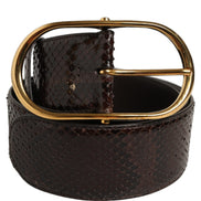 Dolce & Gabbana Curea Maro din Piele de Piton cu Cataramă din Metal Auriu