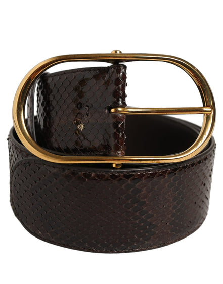 Dolce & Gabbana Curea Maro din Piele de Piton cu Cataramă din Metal Auriu