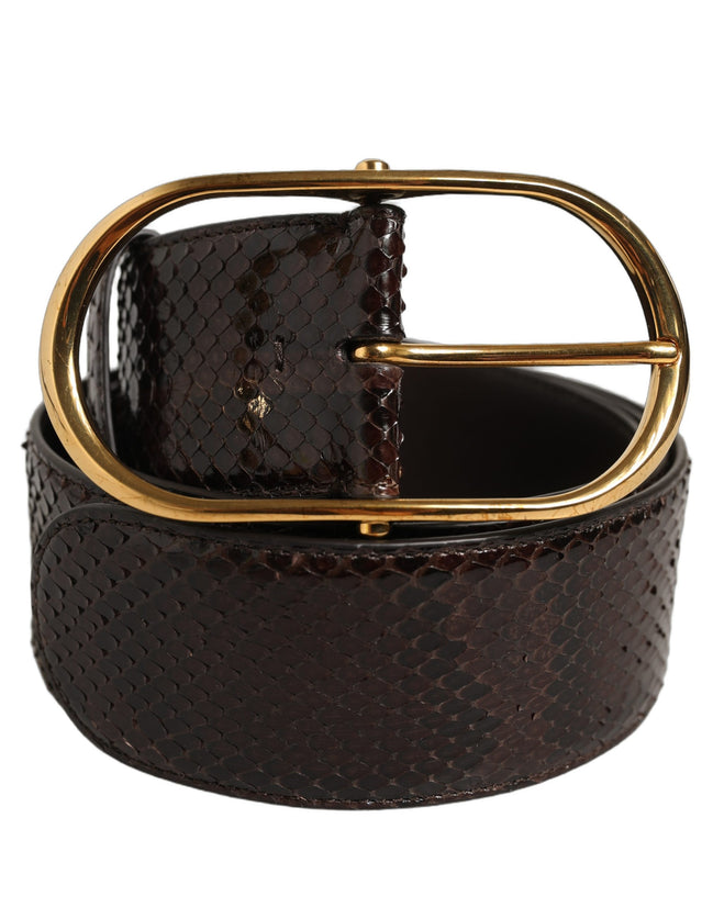 Dolce & Gabbana Curea Maro din Piele de Piton cu Cataramă din Metal Auriu