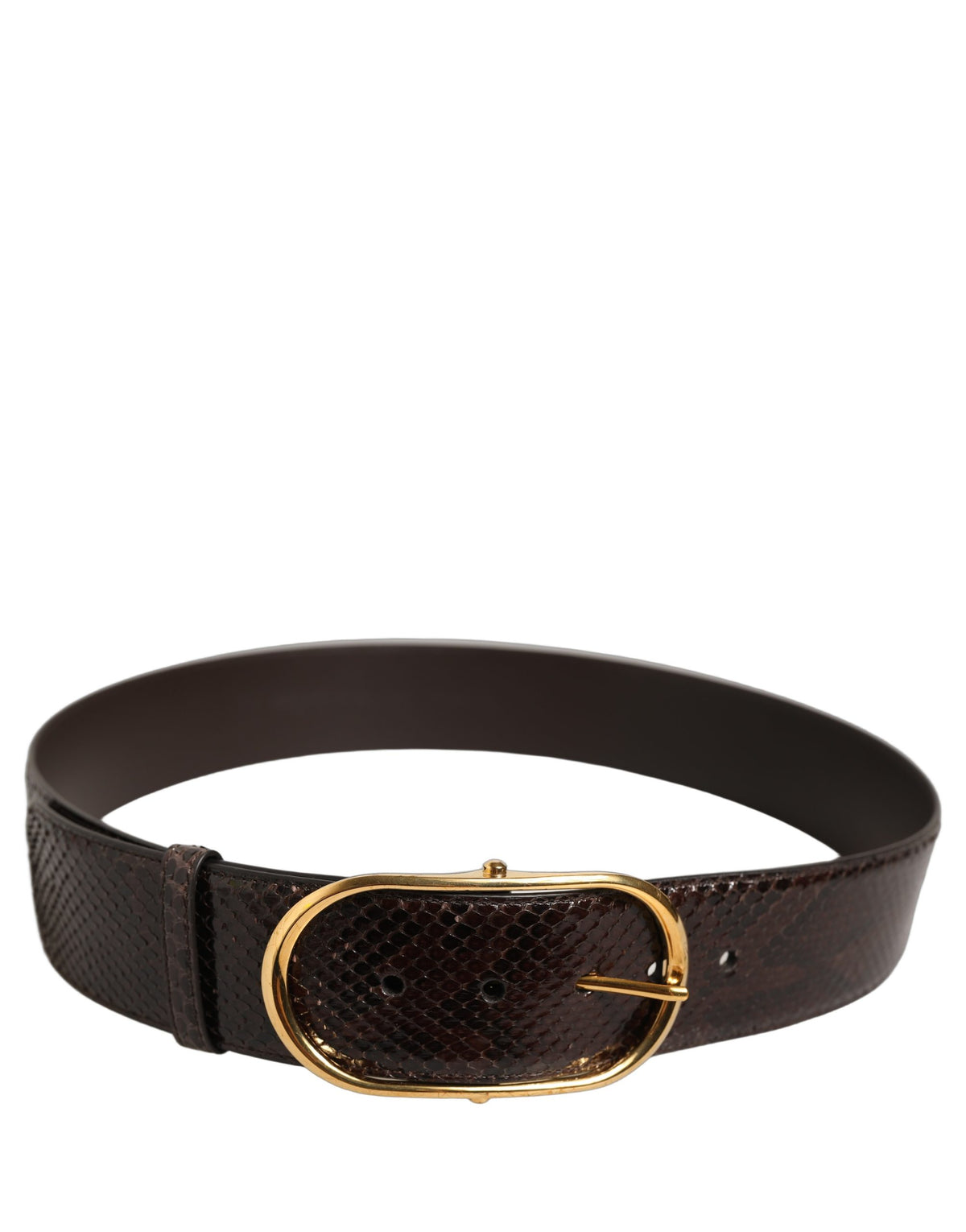 Dolce & Gabbana Curea Maro din Piele de Piton cu Cataramă din Metal Auriu