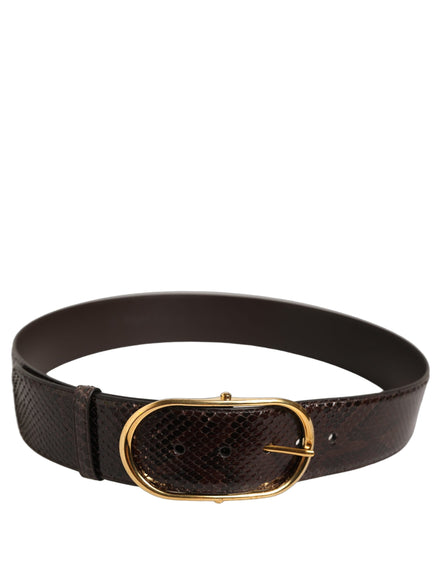 Dolce & Gabbana Curea Maro din Piele de Piton cu Cataramă din Metal Auriu