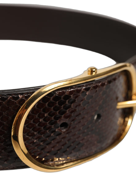 Dolce & Gabbana Curea Maro din Piele de Piton cu Cataramă din Metal Auriu
