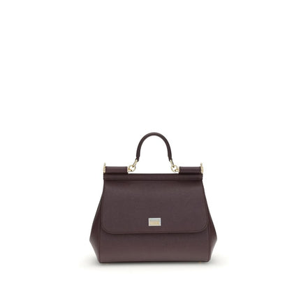 Geantă de mână Dolce & Gabbana bordo din piele