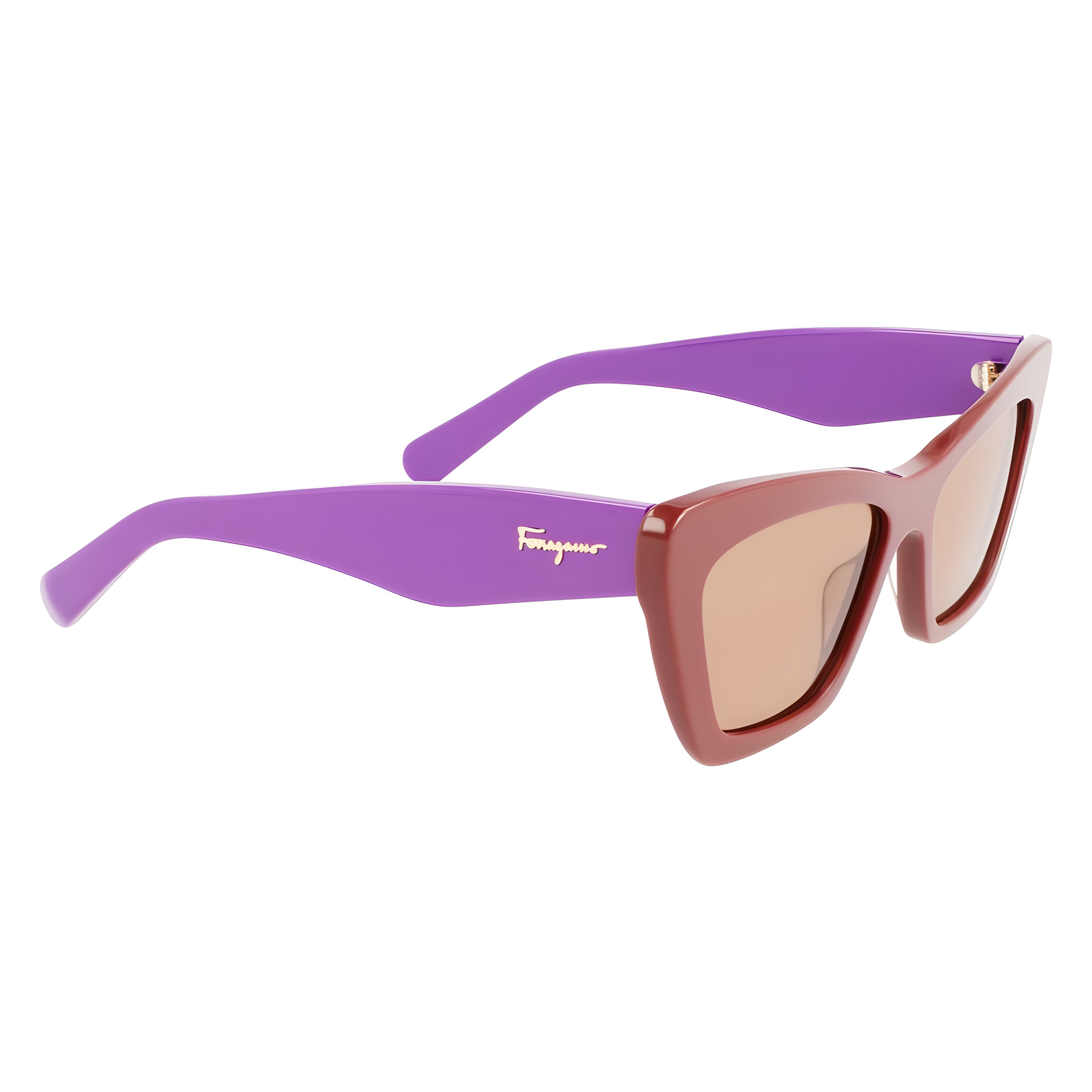 Ferragamo Brown Sunglasses