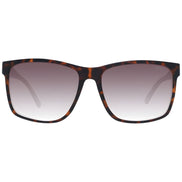 Guess Brown Sunglasses