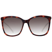 Jimmy Choo Brown Sunglasses