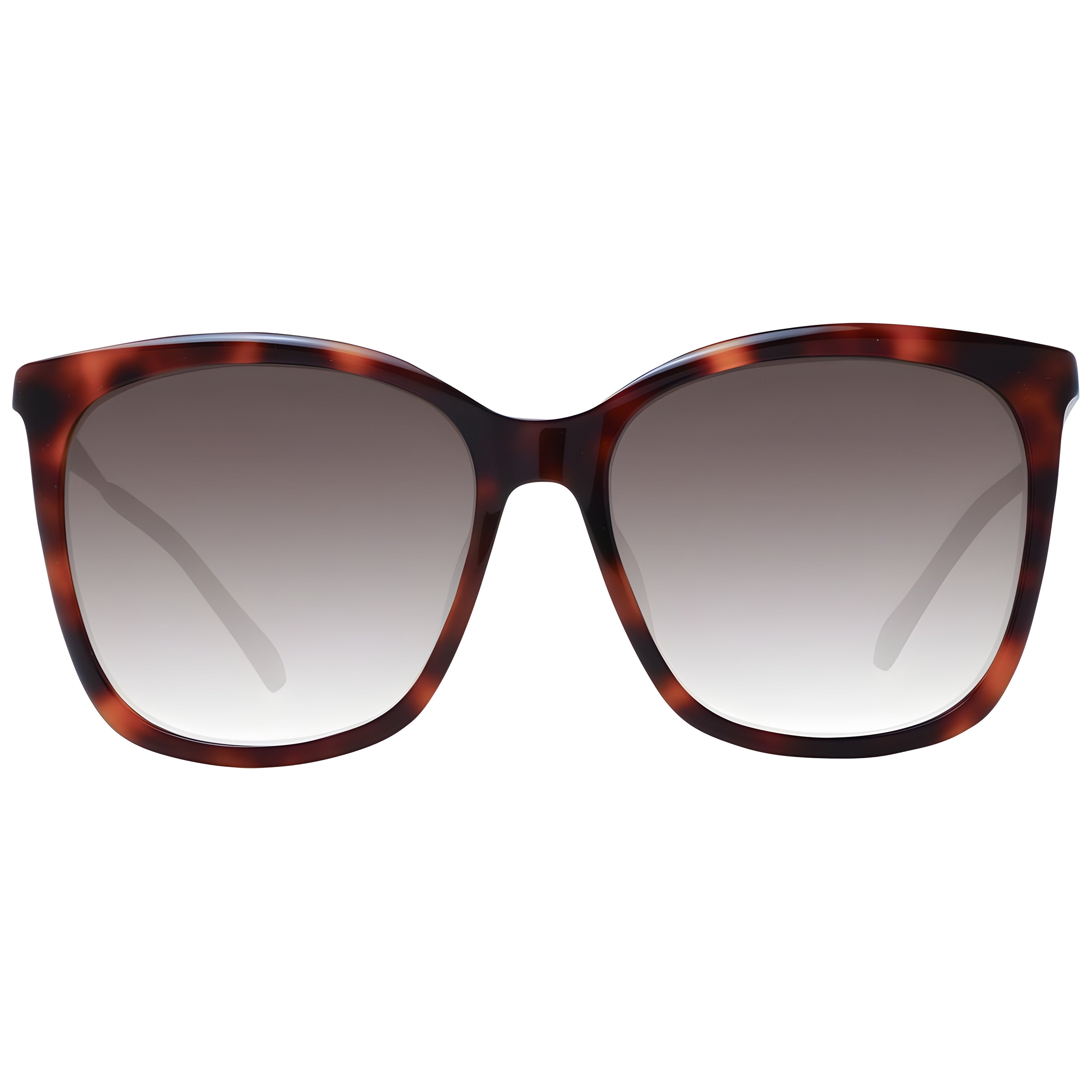 Jimmy Choo Brown Sunglasses