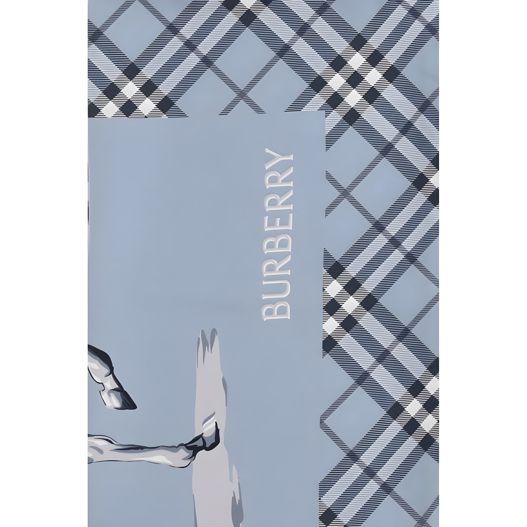 Eșarfă Burberry albastră din mătase