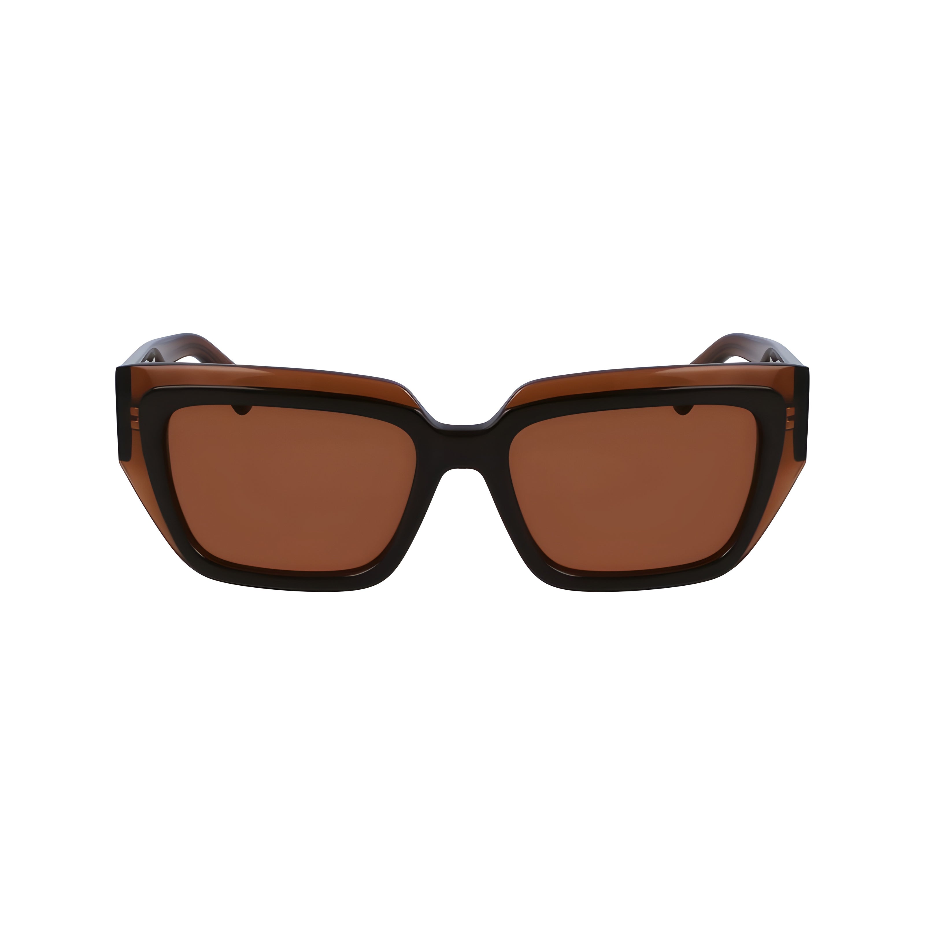Ochelari de soare maro Ferragamo