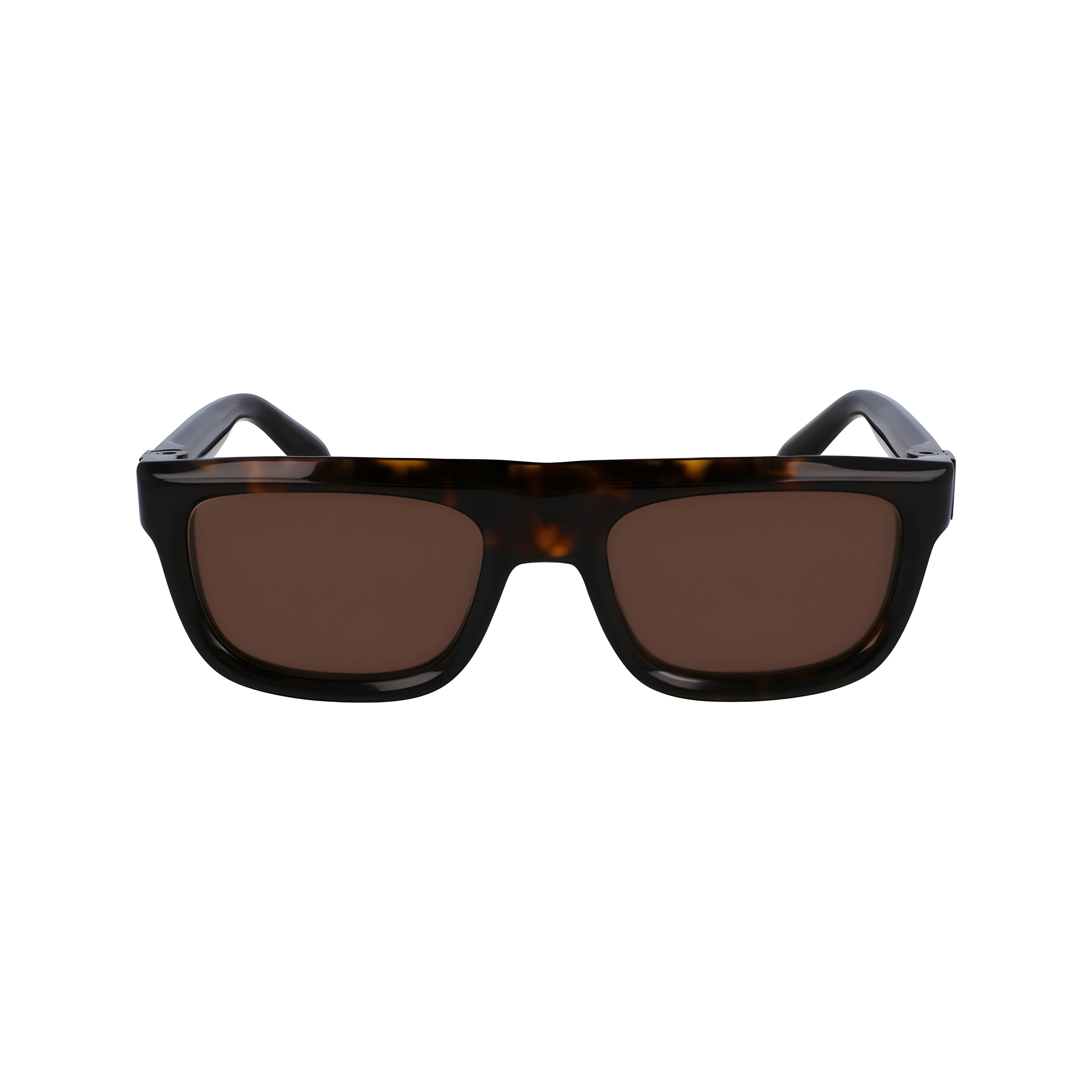 Ferragamo Brown Sunglasses