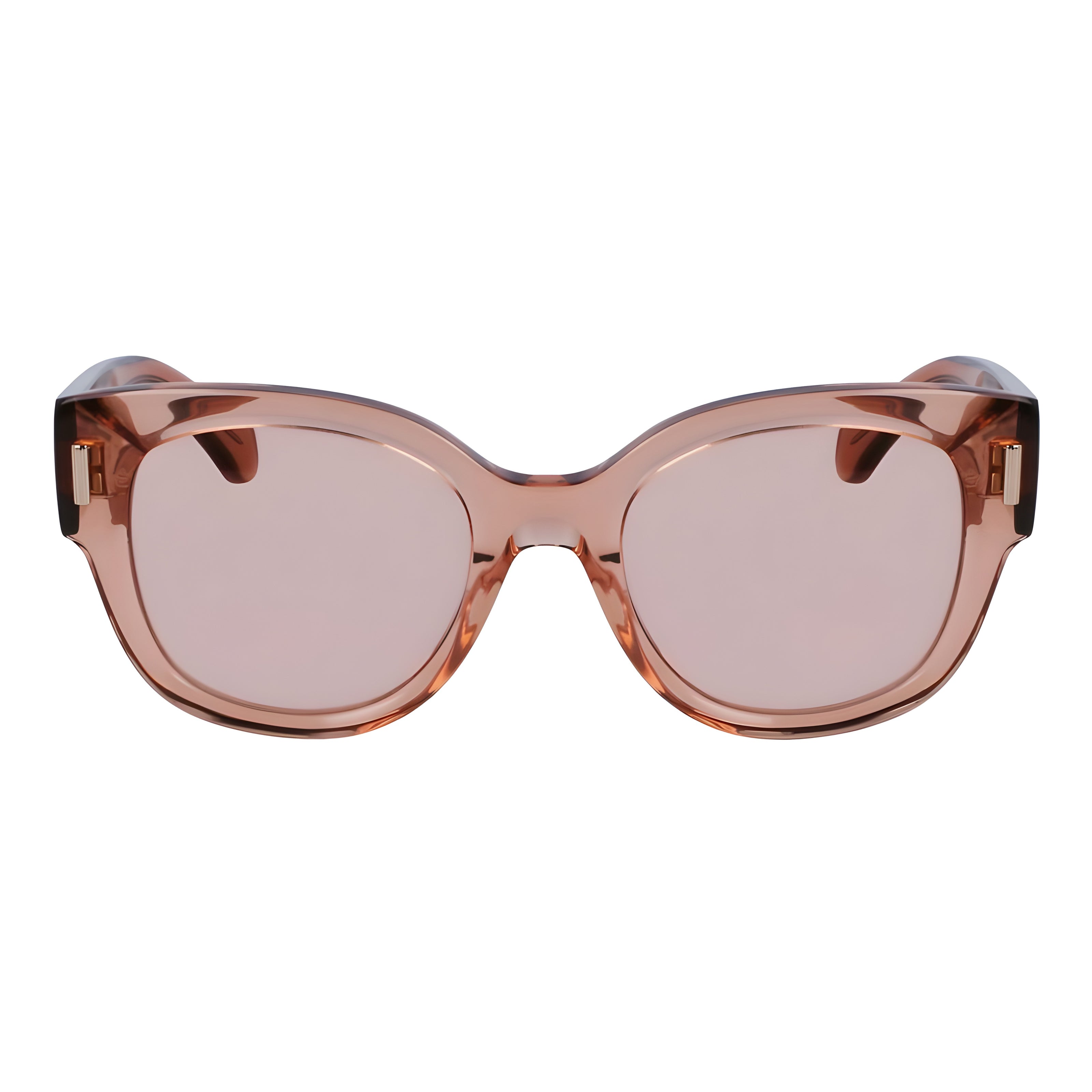 Ferragamo Transparent Sunglasses