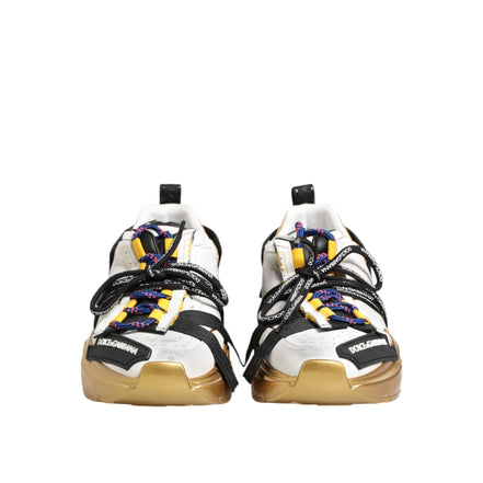 Sneakers low top Dolce & Gabbana Daymaster multicolori