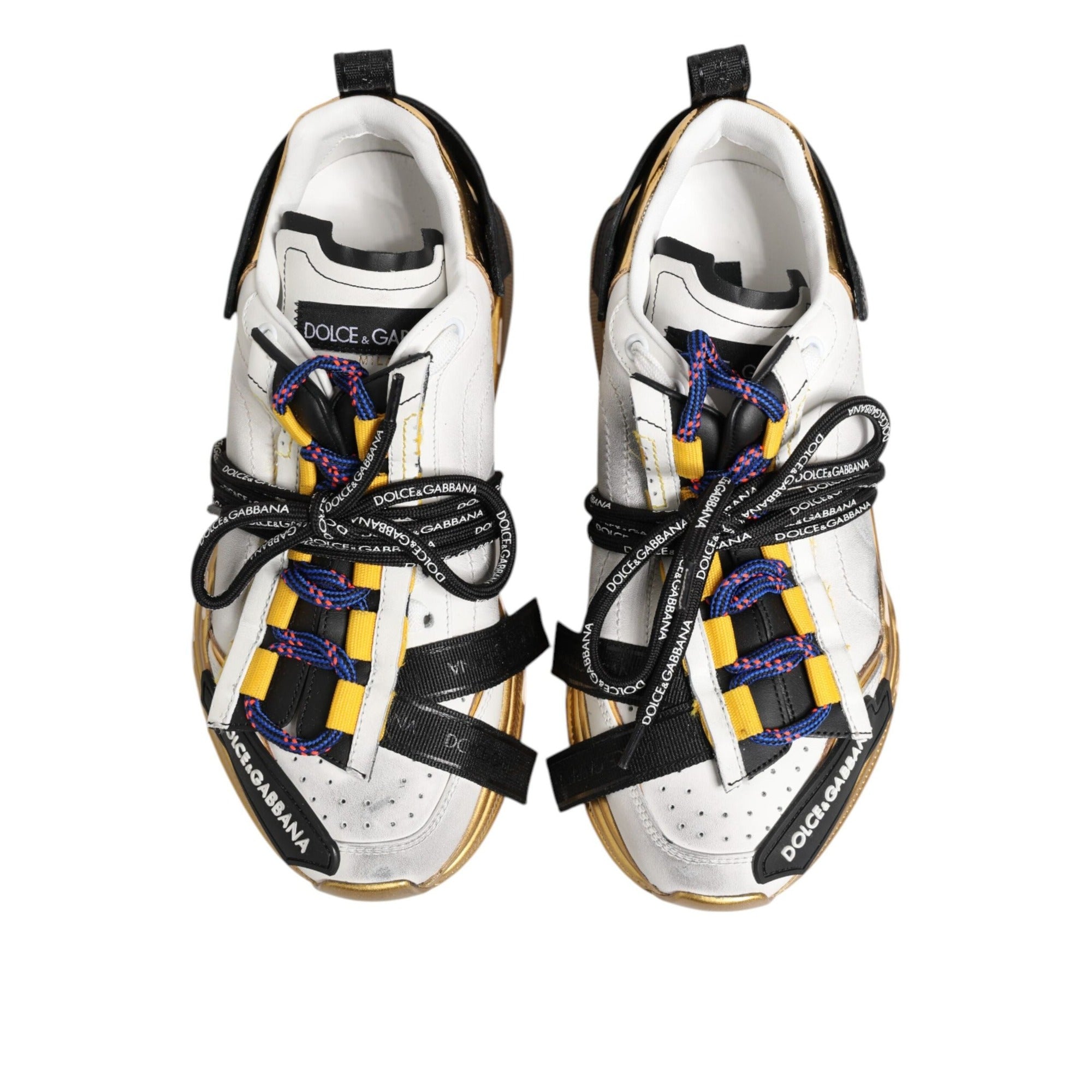 Sneakers low top Dolce & Gabbana Daymaster multicolori