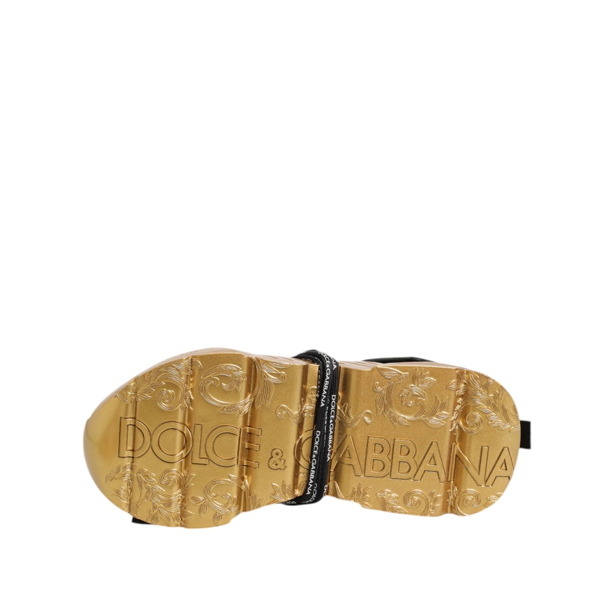 Sneakers low top Dolce & Gabbana Daymaster multicolori