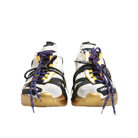 Sneakers low top Dolce & Gabbana Daymaster multicolori