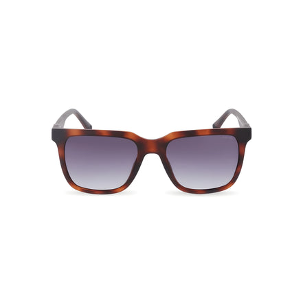 Ochelari de soare maro, stil aviator